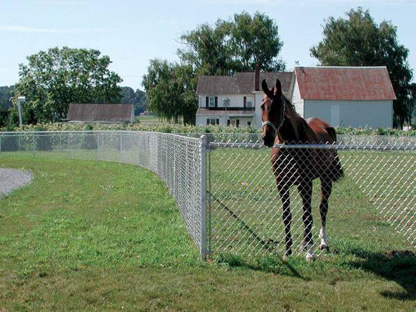 At tutmak için galvanizli zincir bağlantı çit