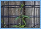 Eko Hasır Modüler Bitki Kafes Sistemi / Yeşil Duvar Tel Kafes Sistemi 50x50mm