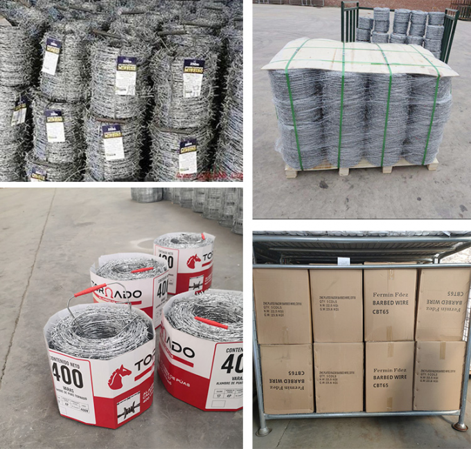 D&uuml;ş&uuml;k Fiyatlı Concertina Sıcak Dondurulmuş Galvanizli Acayip Dikenli Tel 3