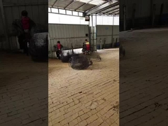 Siyah Anneal Kök Topu Ağaclar veya Bitkiler İçin Tel sepet Kök Topu Taşımacılık