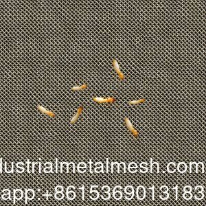 AISI 304 316 316L Termit karşıtı paslanmaz çelik dokuma tel örgü ekranı