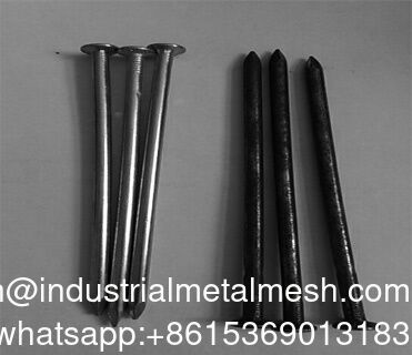 İhracat Sınıfı 6D-8d-10d Q195/Q235 Normal Çiviler Parlak Galvanizli Vinil Kaplı Tel Çiviler