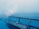 Su Ürünleri Yetiştiriciliği İçin 2.5mm-3mm Polyester Tel Offshore Balık Ağı