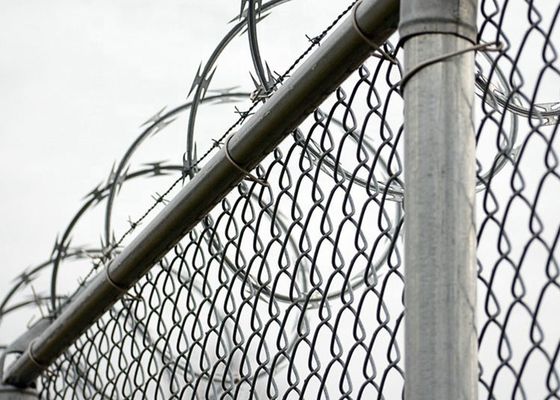 Düşük Fiyatlı Concertina Sıcak Dondurulmuş Galvanizli Acayip Dikenli Tel