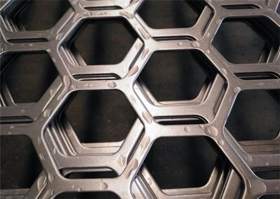 Dupleks Kaliteli Paslanmaz Çelik Altgen Perforasyonlu Metal Plakası Akvaçülüm ve Tuzlu Su