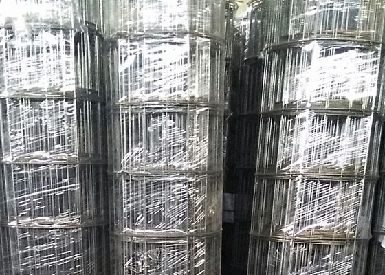 3mm Tel Çapı 15 cm Güney Amerika Pazarı için Açılış Siyah Kaynaklı Hasır