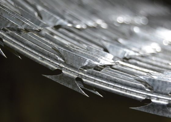 Galvanizli dikenli tel Güvenlik Muhafızı Paslanmaz Çelik Tel Tırnak Tel