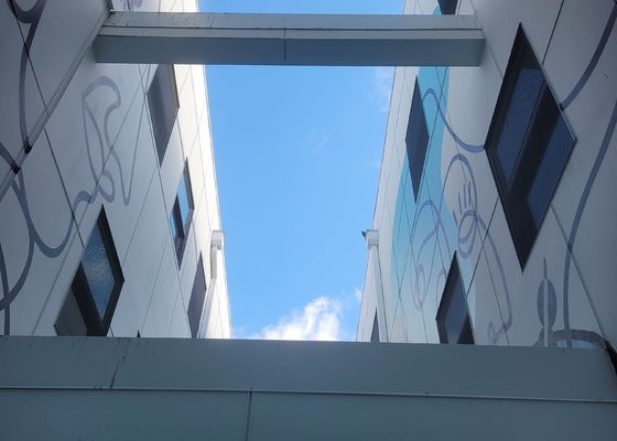 Koruma ve Güvenlik için Korkuluk Korozyon Önleyici Paslanmaz Çelik 316 Halat Hasır