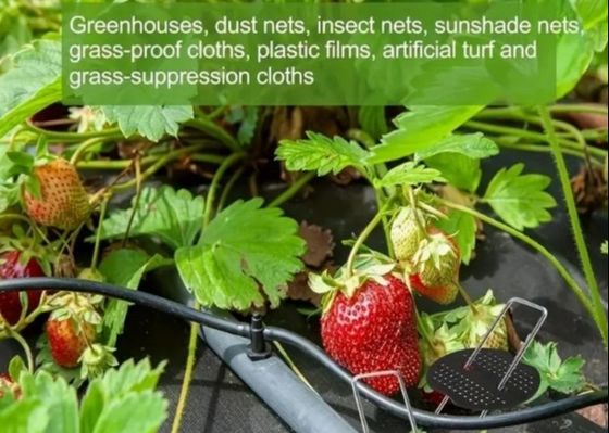 Sıcak Dip Galvanizli U Tipi Bahçe Çim Çim Çim Çim Çim 9 Ölçümün Çizgi Diametri