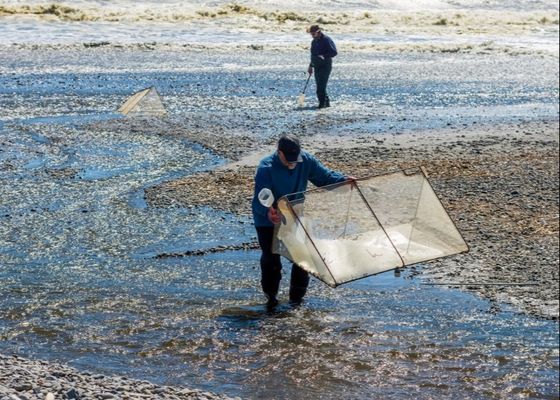 10meshx10mesh Alaşımlı Beyaz Balık Ağı Tamiri veya Ekran Yapımı İçin File
