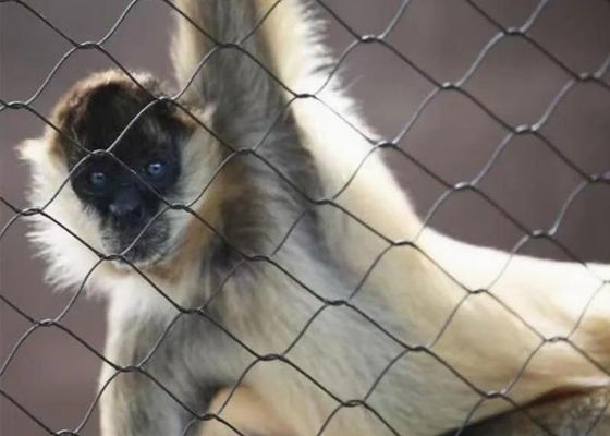 Ss 304 Ss 316 Paslanmaz Çelik Halatlı Tel Örgü Satılık Paslanmaz Çelik Yüksük Halatlı Örgü