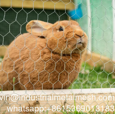 Bahçe Çiti İçin Kullanılan 4 İnç Açıklıklı Altıgen Tel Örgü