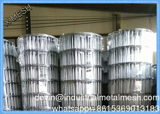 ASTM 1/8-4 İnç Galvanizli PVC Kaplı Paslanmaz Çelik Kaynaklı Tel Örgü