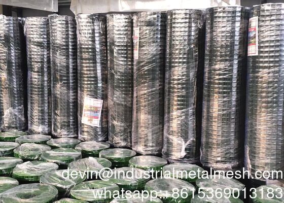 Sıcak daldırılmış Glavanized/ Paslanmaz Çelik/ Siyah Tel Saldırılmış Tel Ağı