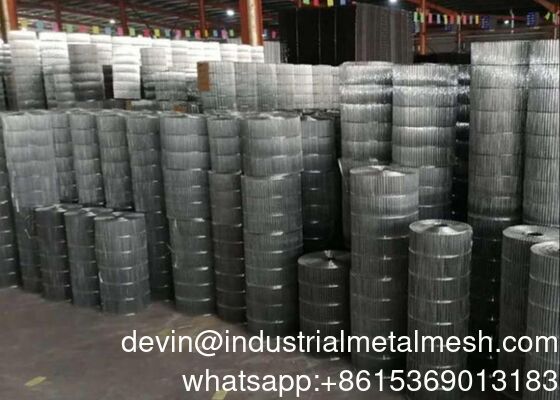 1/4"-2" AISI 304 316 316L Paslanmaz Çelik Koruma için Kaynaklı Tel Ağı