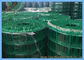 Kanatlılar İçin 3 / 4X3 / 4 SGS Yeşil Renkli Pvc Kaplı Kaynaklı Hasır Rulolar