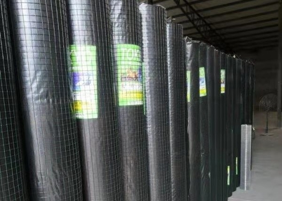 2mm Tel Çapı 10x50mm Sıcak Daldırma Galvanizli Kaynaklı Hasır Ruloları