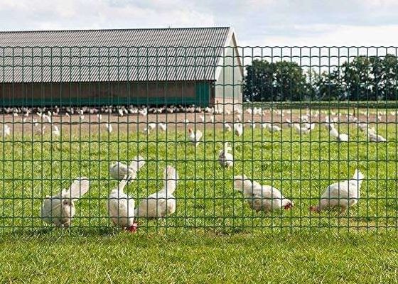 Beton Döşeme İçin 6mm Kaynaklı Çelik Takviye Hasır