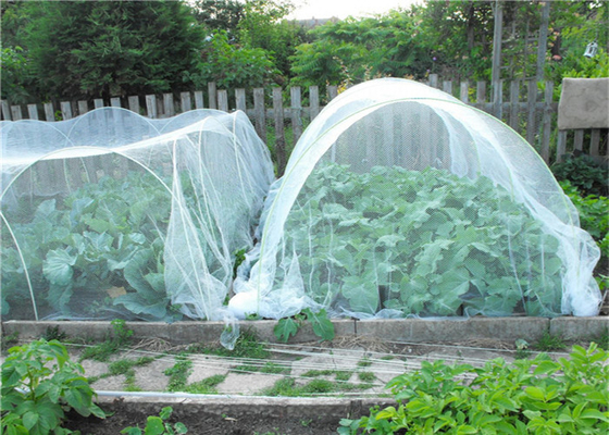 Bahçecilik Hdpe Fly Screen Mesh Tarım Büyüyen Böcek Kanıtlı Ağ 40 Mesh