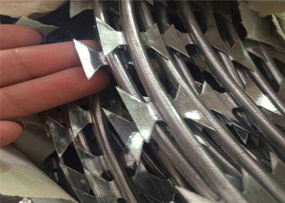 Yüksek Güvenlikli Cbt-60 Cbt-65 Concertina Razor Dikenli Hasır Çit