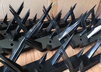 Siyah Güç Kaplı Galvanizli Çelik Kuş Odm Anti Climb Güvenlik Sivri Uçları