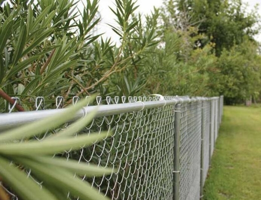 1mx30m 50mmx50mm 2.5mm Galvaniz Zincir Bağlantı Çiti